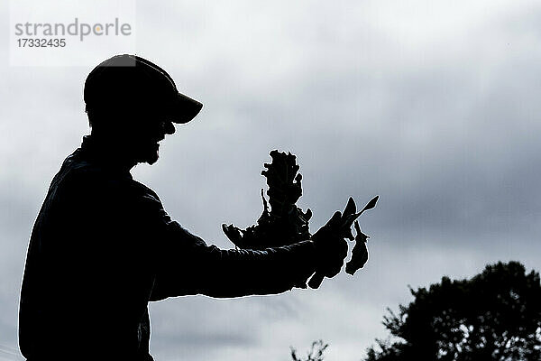 Silhouette eines Bauern mit frisch geerntetem Blumenkohl.