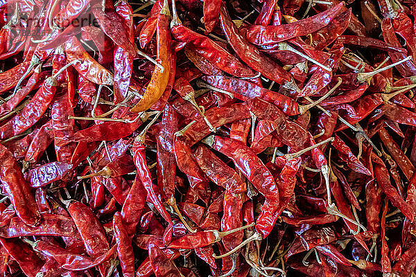 Nahaufnahme von frischen roten Chilischoten  Lebensmittelmarkt