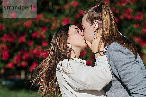 Zärtliches lesbisches Paar  das sich an einem sonnigen Tag küsst