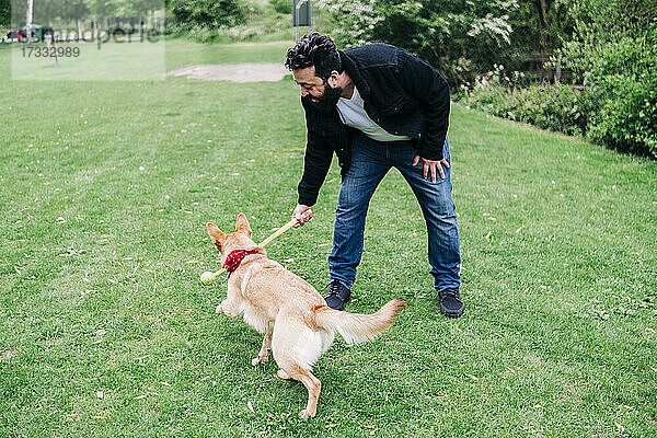 Mann hält Stock beim Spielen mit Hund im Park