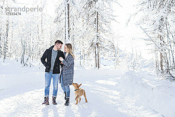 Romantisches Paar  das im Urlaub mit seinem Hund im Schnee spazieren geht