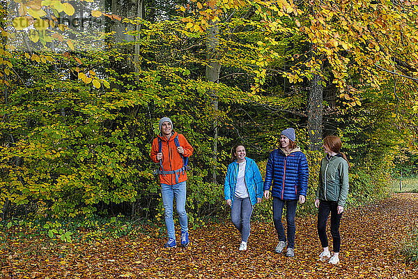 Glückliche junge Männer und Frauen  die im Herbst im Wald spazieren gehen
