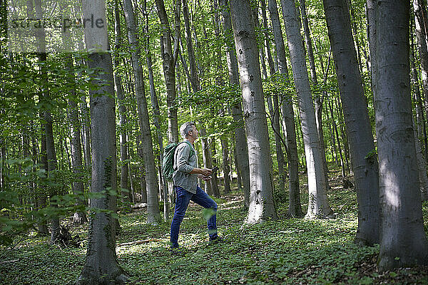 Männlicher Rucksacktourist beim Wandern inmitten von Bäumen im Wald