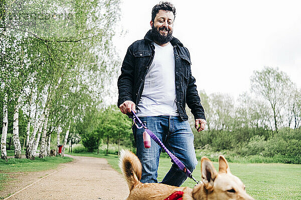 Mann hält Leine  während er mit seinem Hund auf dem Fußweg im Park spazieren geht