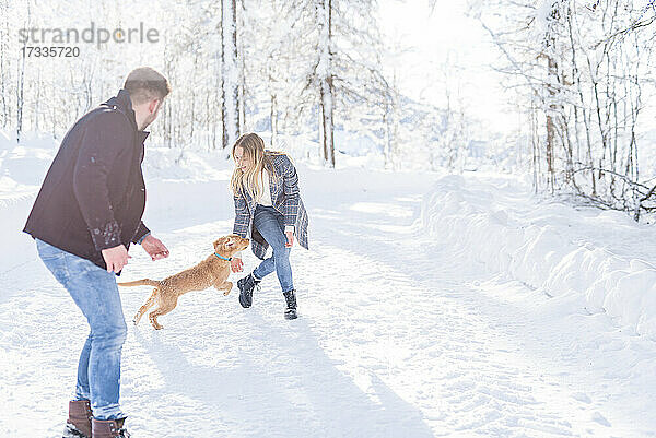 Freund und Freundin spielen mit Hund im Schnee im Urlaub