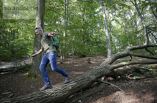 Unbekümmerter Mann mit ausgestreckten Armen  der auf einem umgestürzten Baum im Wald spazieren geht