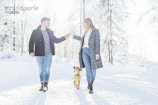 Paar hält sich an den Händen  während es im Urlaub mit dem Hund im Schnee spazieren geht
