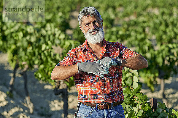 Lächelnder männlicher Landwirt  der im Weinberg stehend Handschuhe auszieht