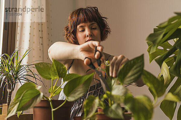 Frau mit kurzen Haaren schneidet Blatt von Pflanzen zu Hause