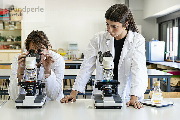 Junge Wissenschaftlerin betrachtet einen reifen Kollegen  der durch ein Mikroskop im Labor analysiert