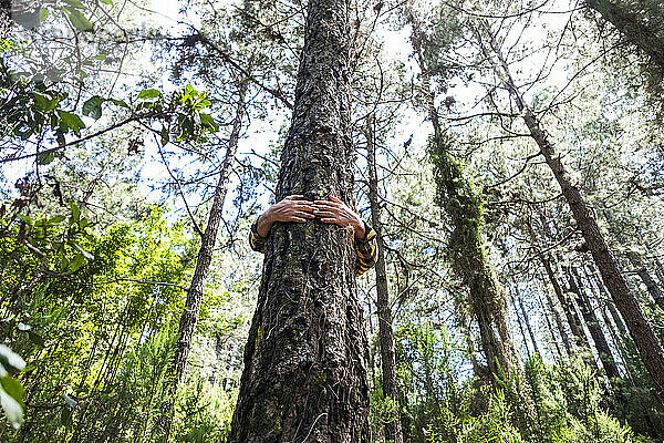 Älterer Mann umarmt Baumstamm im Wald