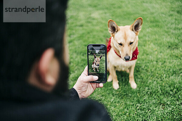 Mann fotografiert Hund mit Smartphone im Park