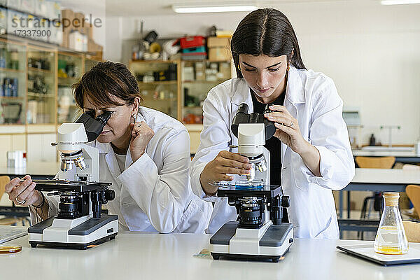 Wissenschaftlerinnen  die im Labor Chemikalien durch Mikroskope untersuchen