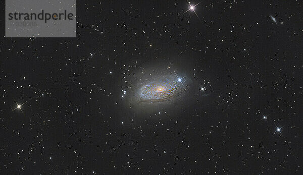 Astrophotographie der Spiralgalaxie Messier 63 im Sternbild Canes Venatici