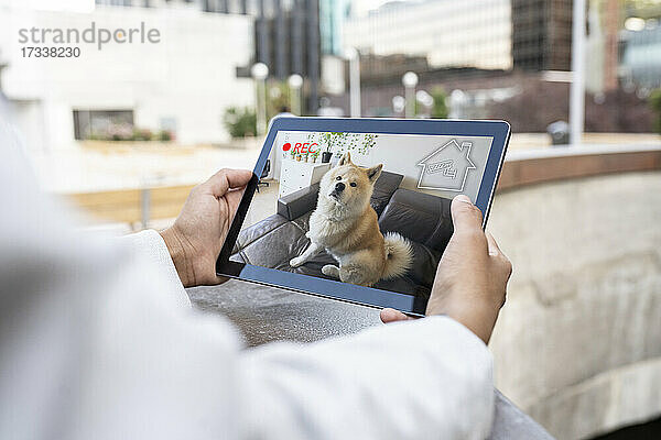Geschäftsfrau beobachtet Hund auf digitalem Tablet zu Hause