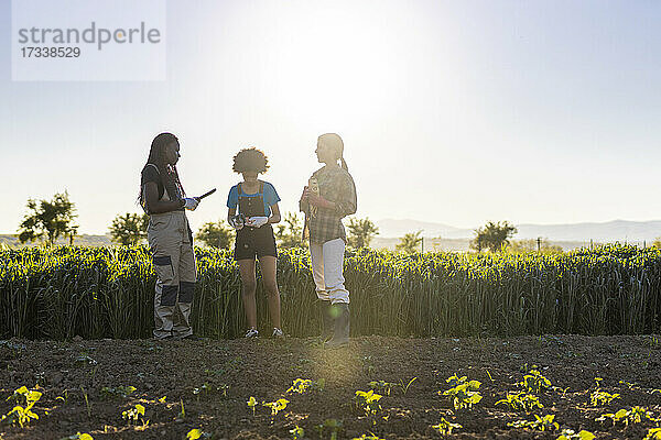 Bäuerinnen stehen mit einem Mädchen auf dem Bauernhof und diskutieren an einem sonnigen Tag