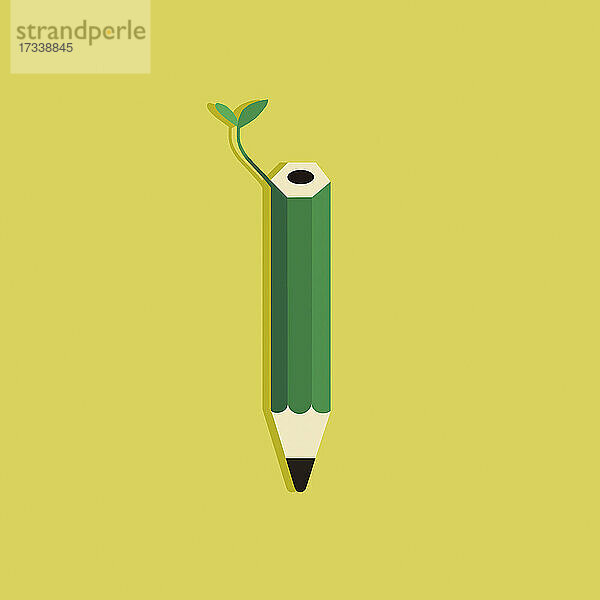 Blatt wächst aus grünem Bleistift