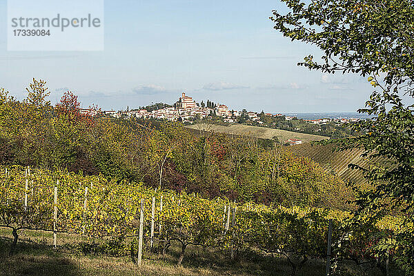 Italien  Piemont  Monferrato  Landschaft mit Weinbergen um Ozzano Monferrato