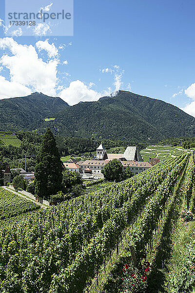 Italien  Südtirol  Brixen  Abtei Novacella und Weinberge