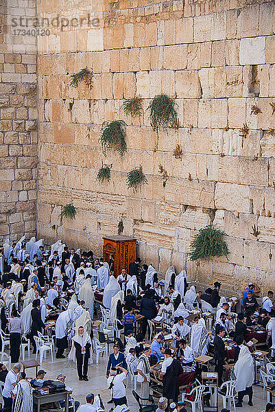 Asien  Naher Osten  Israel  Jerusalem  Klagemauer