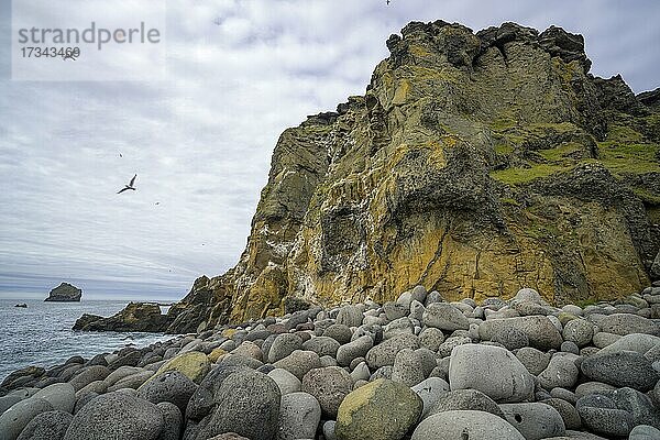 Klippe und große runde Steine  Grindavik  Suðurnes  Island  Europa