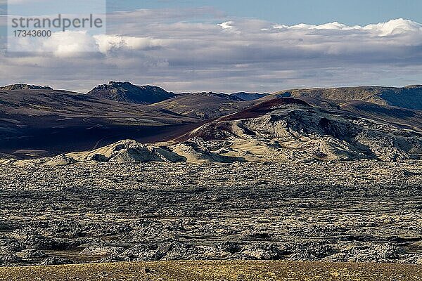 Mit Moos bewachsene Laki-Krater oder Lakagígar  Kraterreihe  Hochland  Süd-Island  Suðurland  Island  Europa