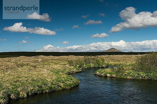 Laxa  Lachsfluss  Myvatn oder Mývatn  Island  Europa