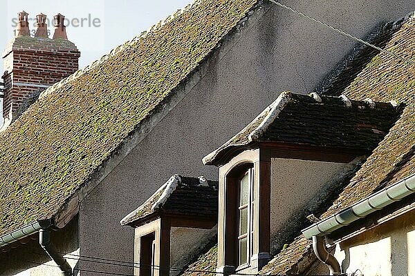 Hausdächer in der Rue de Jouy  mittelalterliche Stadt Provins  seit 2001 auf der UNESCO-Liste des Weltkultur- und Naturerbes der Menschheit  Departement Seine-et-Marne  Region Ile-de-France  Frankreich  Europa