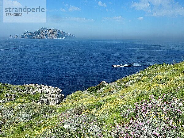 Insel Capri  Punta Campanella  Kalabrien  Italien  Europa