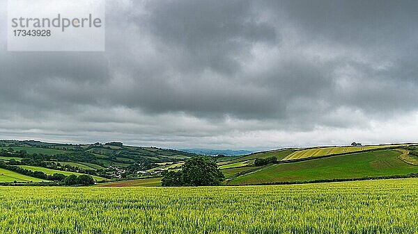 Dramatische Wolken und Himmel über Labrador Bay  Shaldon  Torquay  Devon  England  Großbritannien  Europa