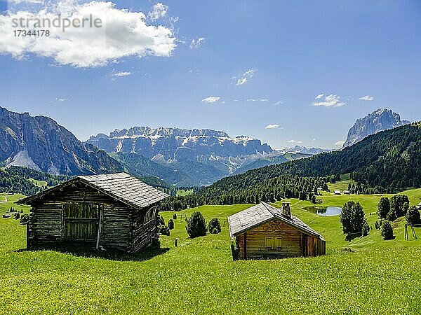 Almhütten  hinten Sellagruppe und Langkofel  Dolomiten  Südtirol  Italien  Europa