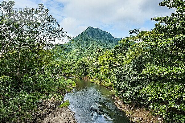 Little creek  Upolo  Südpazifik  Samoa  Ozeanien