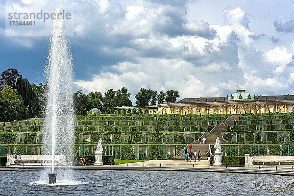Große Fontäne im Schlosspark Sanssouci  Potsdam  Brandenburg  Deutschland  Europa