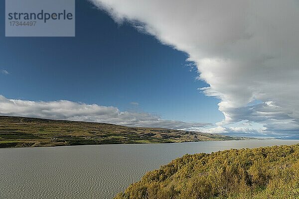 Herbstlich gefärbter Wald Hallormsstaðaskógur  See Lagarfljót  Ostisland  Island  Europa