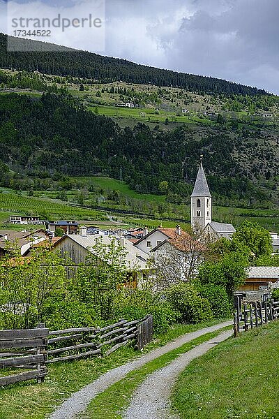 Pfarrkirche St. Andreas  Tartsch  Vinschgau  Südtirol  Italien  Europa