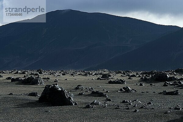 Vulkanlandschaft  Ódáðahraun  isländisches Hochland  Island  Europa