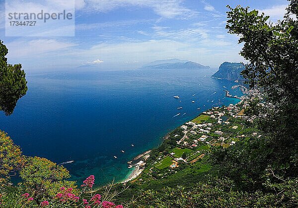 Blick auf Küste und Marina Grande  Capri  Golf von Neapel  Kampanien  Italien  Europa