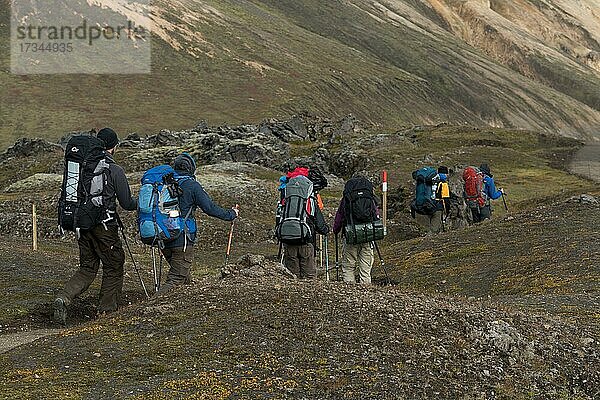 Wanderer auf dem Laugavegur  Landmannalaugar  isländisches Hochland  Island  Europa