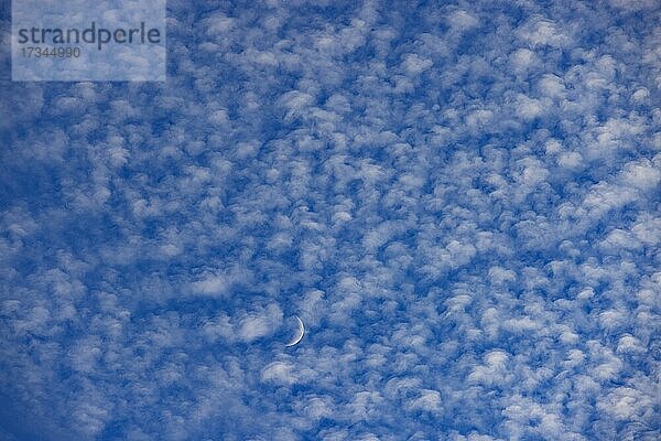 Altocumulus Wolken mit Mondsichel  Schäfchenwolken  Oberösterreich  Österreich  Europa