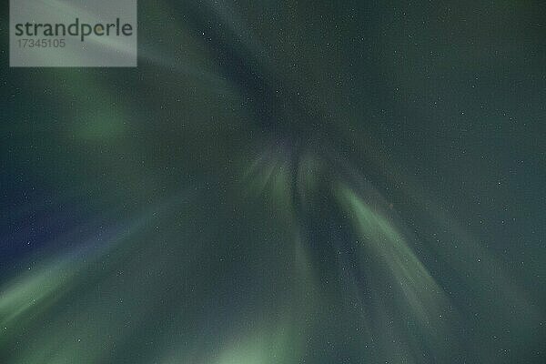 Nordlichter (Aurora Borealis)  Hochland  Island  Europa