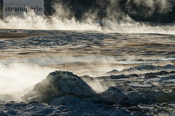 Gegenlicht  Aufsteigender Dampf  Fumarole  Námafjall  Mývatn oder Myvatn  Krafla-Vulkansystem  Nordisland  Island  Europa