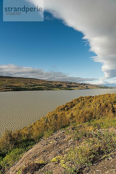 Herbstlich gefärbter Wald Hallormsstaðaskógur  See Lagarfljót  Ostisland  Island  Europa