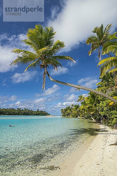 Weißer Sand und palmengesäumter Strand in der Lagune von Aitutaki  Rarotonga und den Cookinseln