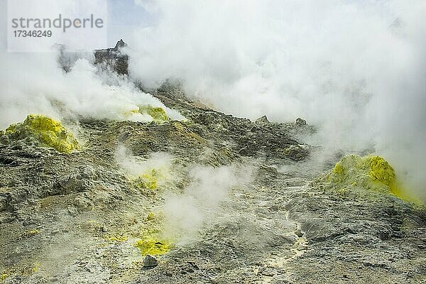 Schwefelstücke auf dem aktiven Vulkangebiet Iozan (Schwefelberg)  Akan National Park  Hokkaido  Japan  Asien