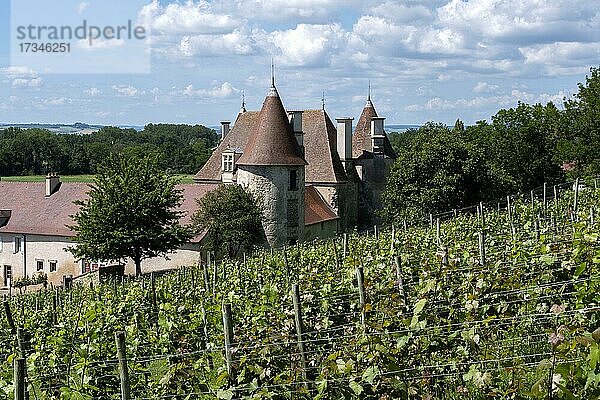 Schloss Chareil-Cintrat in den Weinbergen von Saint-Pourçain  Departement Allier  Auvergne Rhone Alpes  Frankreich  Europa