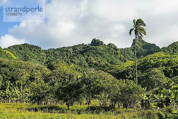 Zerklüftetes Landesinnere von Rarotonga  Rarotonga und den Cook-Inseln