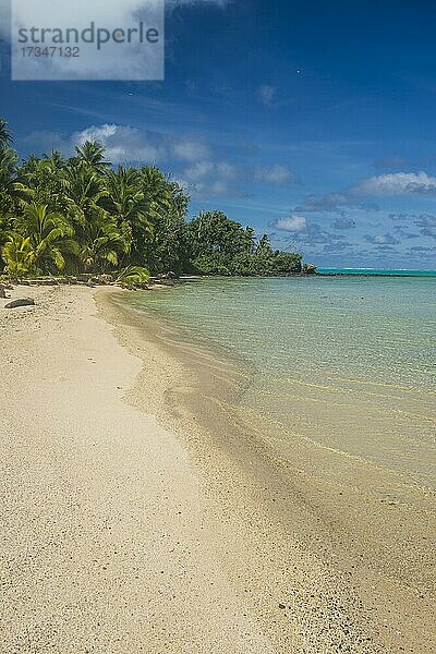 Weißer Sandstrand und palmengesäumter Strand in der Lagune von Aitutaki  Rarotonga und den Cookinseln