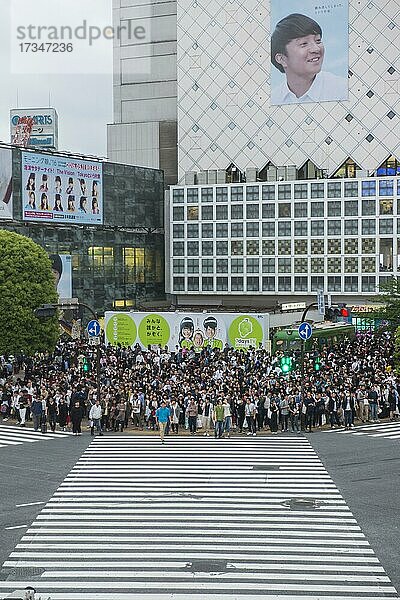 Shibuya-Kreuzung verkehrsreichste Straßenkreuzung der Welt  Tokio  Japan  Asien