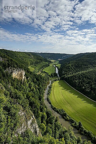 Ausblick vom Knopfmacherfelsen in das Donautal  Beuron  Schwäbische Alb  Baden-Württemberg  Deutschland  Europa