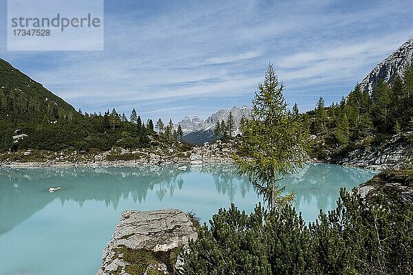 Türkisgrüner Sorapissee  Lago di Sorapis mit Blick Richtung Drei Zinnen  Dolomiten  Belluno  Italien  Europa